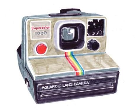 polaroid hollywales