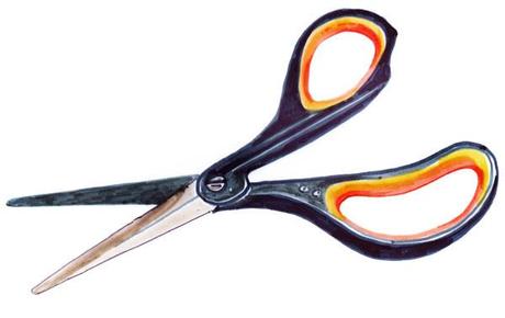 nytimes_scissors hollywales