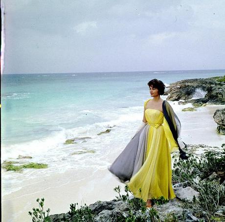 cf316 Fashion vintage picture