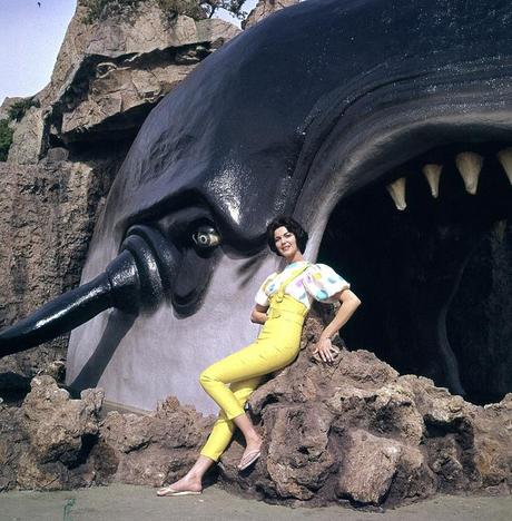 cg346 Fashion vintage picture
