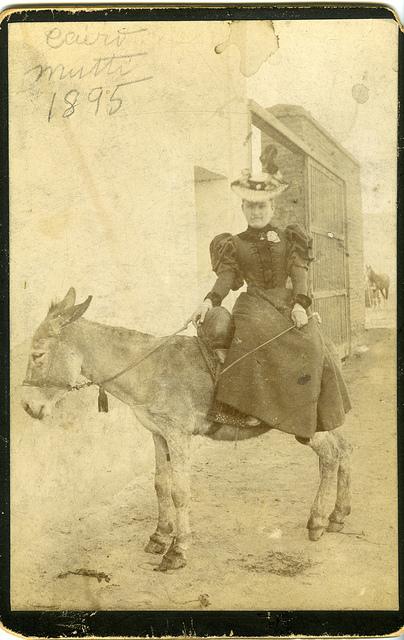 5191885263_5e9ea3914c_o Jewishness stocklist