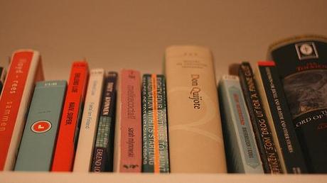 Day 219. Book shelf