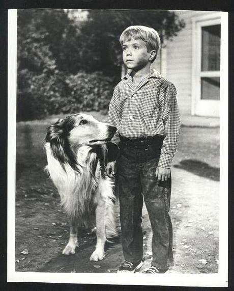 jonprovost Child Stocklist