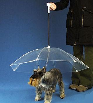 The Dogbrella