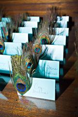 Peacock Feathers; Wedding Inspiration