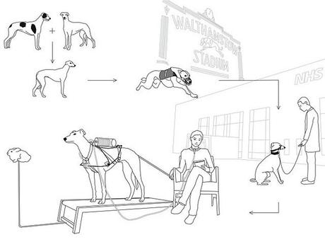 6_ventilation-doggraph Revital Cohen