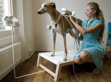 6_ventilation-dog-treadmill Revital Cohen
