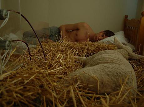 6_sleeping Revital Cohen