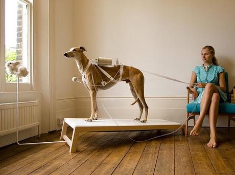 6_ventilation-dog Revital Cohen