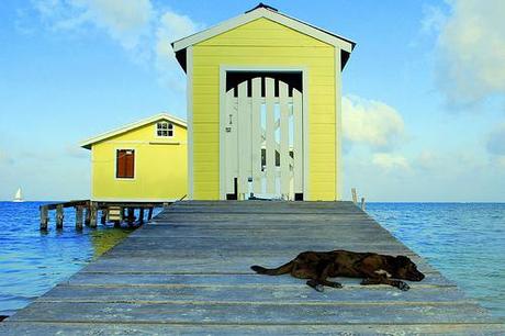 Belize Honeymoons in Belize