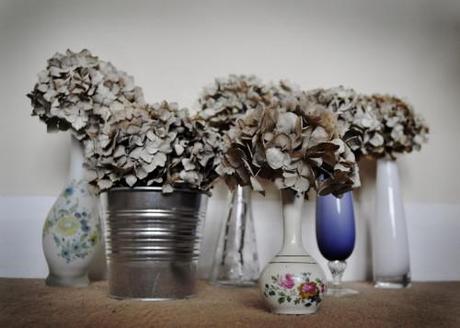 Dried hydrangea and getting experimental! Dried hydrangea and getting experimental!