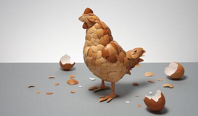What Came First? What Came First?