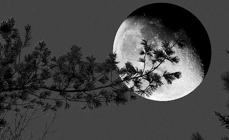 Extreme Supermoon Extreme Supermoon