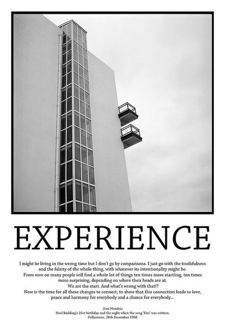 experience sejla kameric