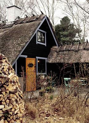 A cabin retreat in Denmark - to rough for you or just right?