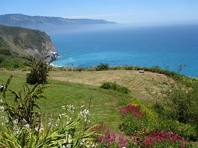 A Day in Big Sur