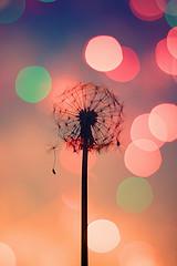 TIME FLIES.....................* TIME FLIES.....................*