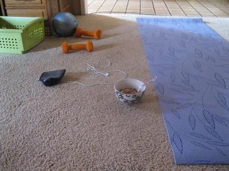 IMG_5353 IMG_5353