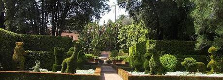 Topiary Kingdom