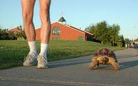 The difference between running 100km and 100miles – 5 P’s The difference between running 100km and 100miles – 5 P’s