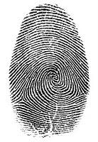 The Ultramarathon Runner's fingerprint – Discover your own and train more effectively.