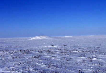 North Pole 2011: Barneo Station Ready To Go North Pole 2011: Barneo Station Ready To Go