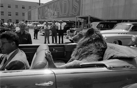 loomis dean 1 Loomis Dean