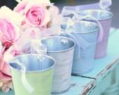 SET of 12 Spring Summer You Pick The Color Pink Blue Green Ivory Favor Tins Candy Bar Pen Holder Outdoor Vintage Circus Shabby Chic Wedding Decorations