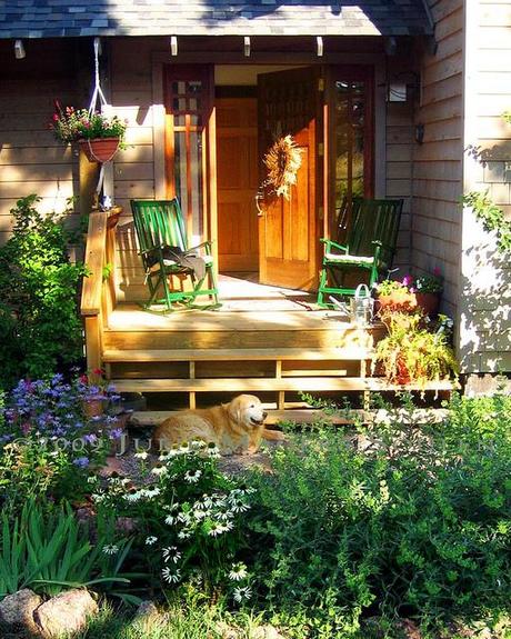 an inviting front porch next to a perennial garden full of summer flowers and a golden retriever dog basking in the warm light.