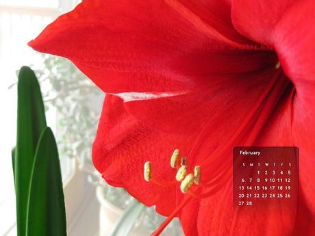 2011 Calendar Desktop Wallpaper. desktop wallpaper calendar