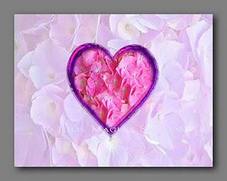 Valentine note card of lavender hydrangea blossoms and a pink heart of hydrangea blossoms.