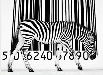 Barcode Scanner For Zebras