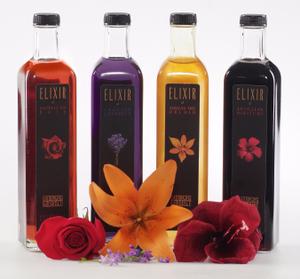 Lounging gourmet elixirs with flowers