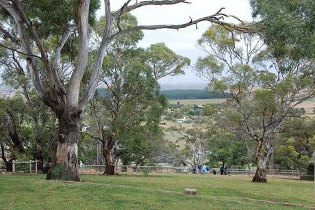 Our Australia and New Zealand Cruise Adventure Our Australia and New Zealand Cruise Adventure