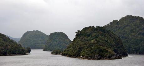 Our Australia and New Zealand Cruise Adventure Our Australia and New Zealand Cruise Adventure