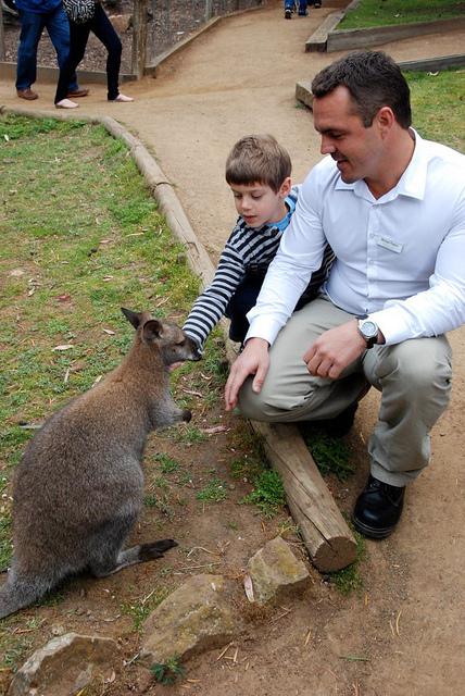 Our Australia and New Zealand Cruise Adventure Our Australia and New Zealand Cruise Adventure