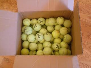 Rebounces Recycles Tennis Balls