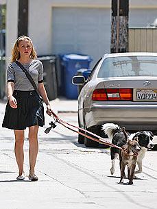 Anna Paquin Says Dogs Keep Her Grounded