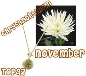 november november 300x264Flowers and Birthstones Galore