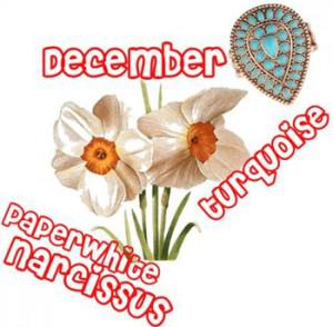 december december 300x294Flowers and Birthstones Galore