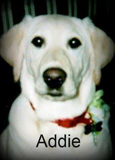 Addie's Story Addie's Story