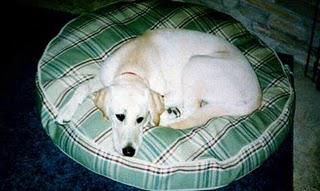 Addie's Story Addie's Story