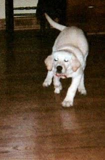 Addie's Story Addie's Story