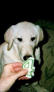 Addie's Story Addie's Story