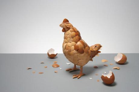 egg shell chicken Plus...