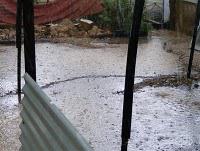 Heat and Flooding Rain! Heat and Flooding Rain!