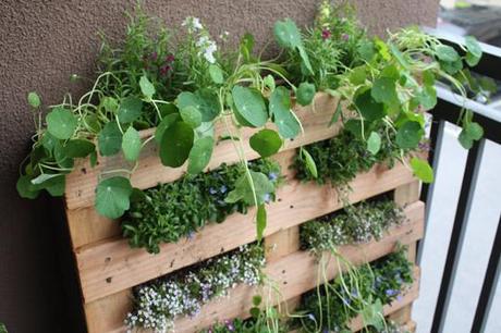 balcony pallet garden Trash to Treasure: Re-Imagining Your Waste {Pallets}