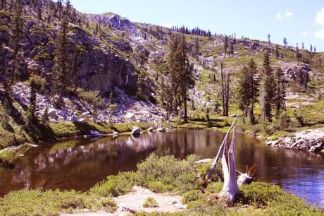 4968220021_c7985215e9_o_700x467 travel bug guest post: mccloud.