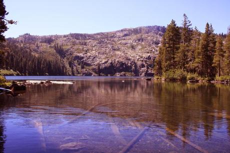 4968227031_c8a35cb482_o_700x467 travel bug guest post: mccloud.