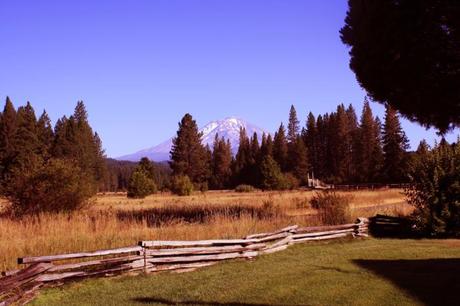 4968847678_996f469d7a_o_700x467 travel bug guest post: mccloud.
